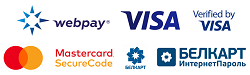 Логотип оплаты банковской картой через сайт
